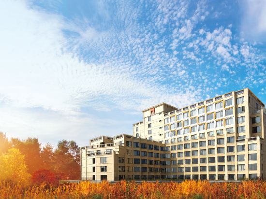 Фото M-Stay Hotel Jeju