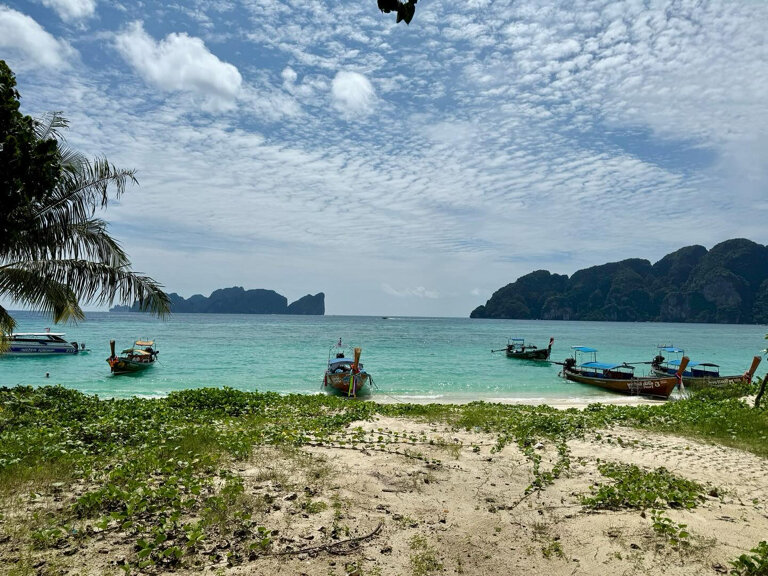 Фото Paradise Pearl Bungalow