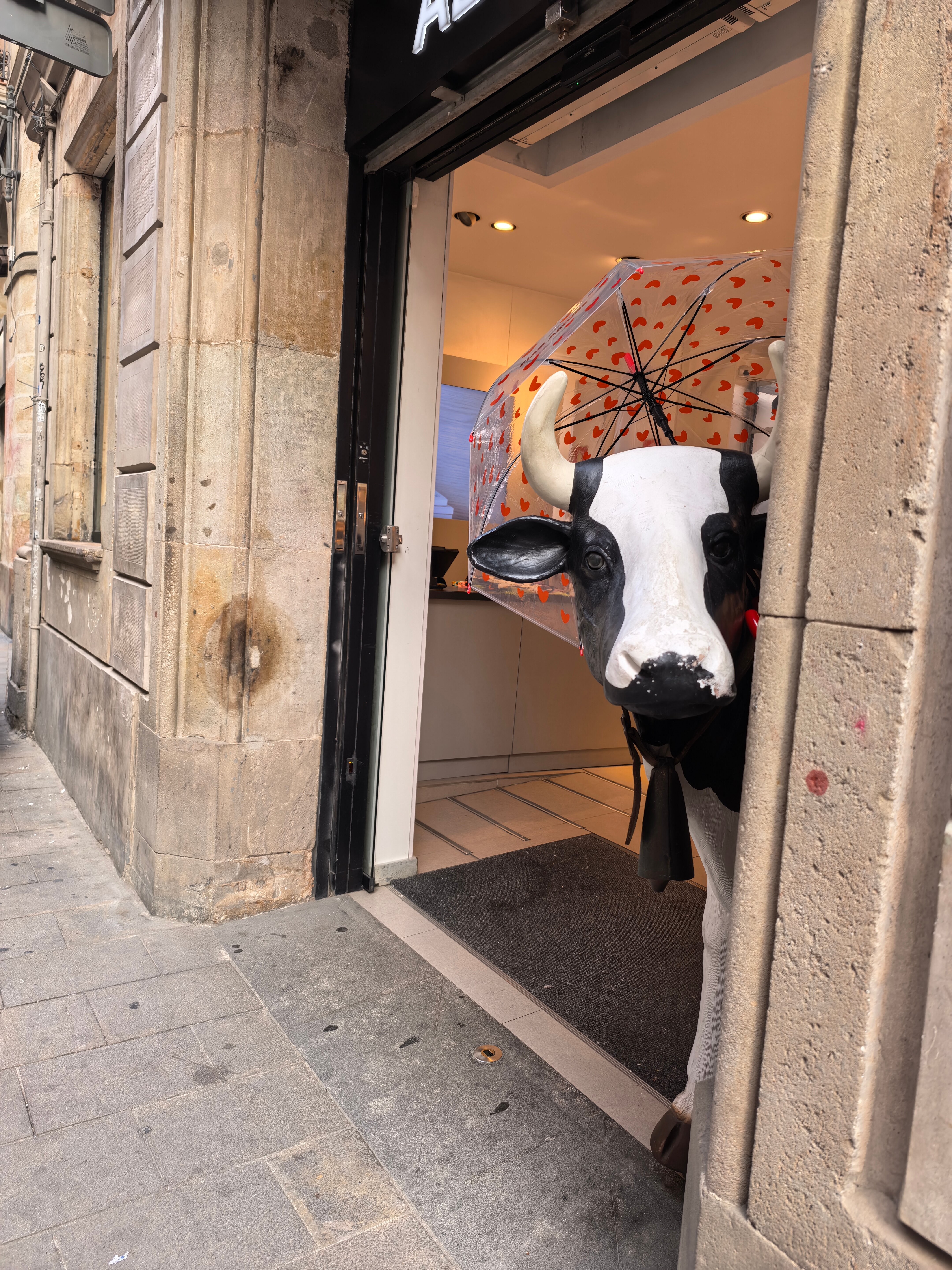 Фото Room Mate Pau