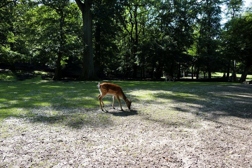 Фото Helnan Marselis Hotel