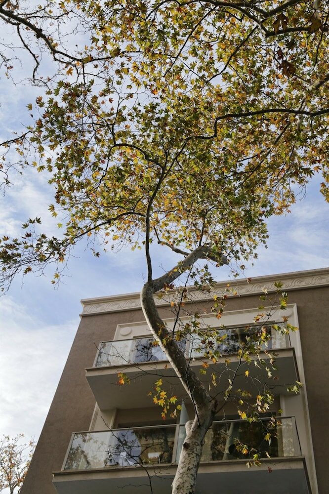 Фото The Y Hotel