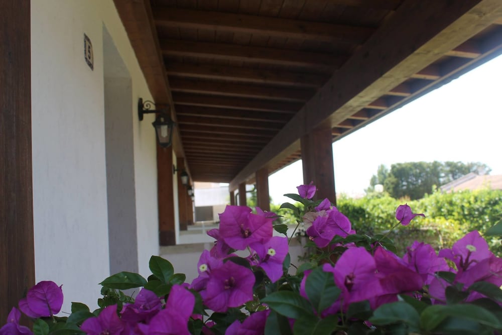 Фото Hotel Masseria Fabrizio