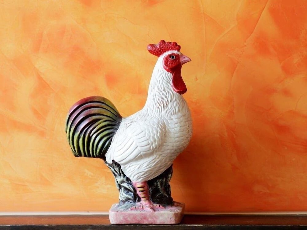 Фото Hotel Goldener Hahn