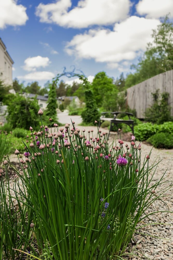 Фото Blommenhof Hotel
