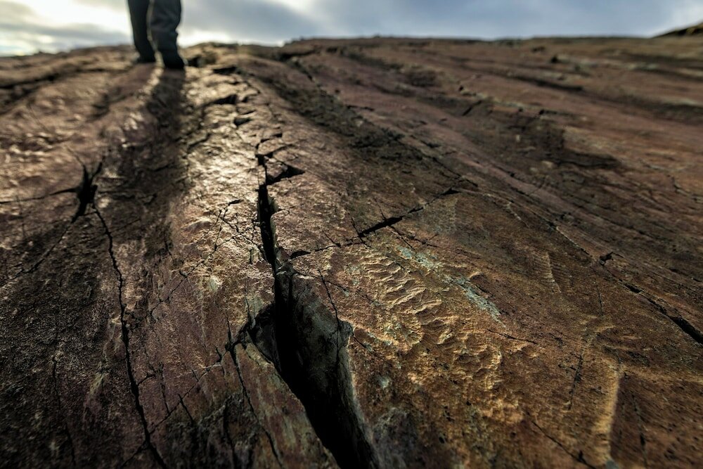 Фото Edge of the Avalon Inn