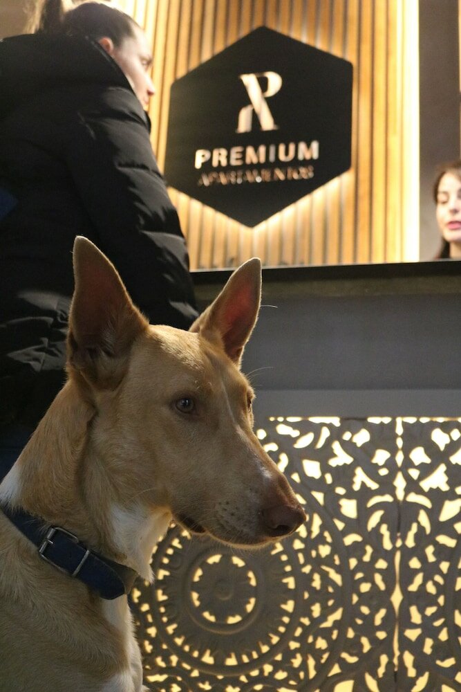 Фото Oasis Backpackers Hostel Malaga