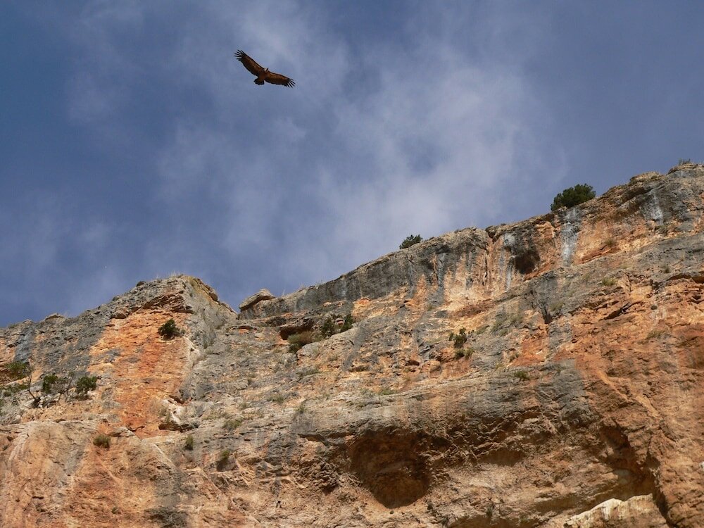 Фото Balneario Sicilia