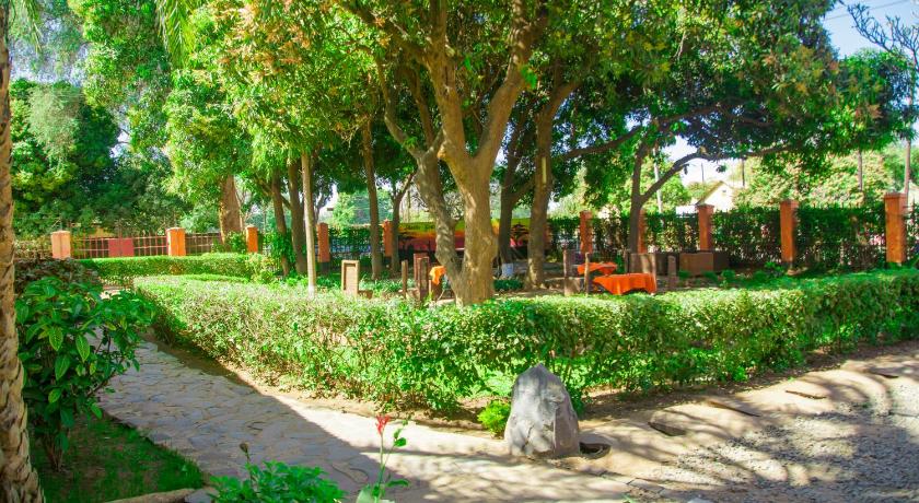 Фото Olga's the Italian Corner