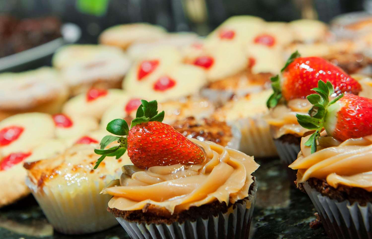 Фото Radisson Hotel Curitiba