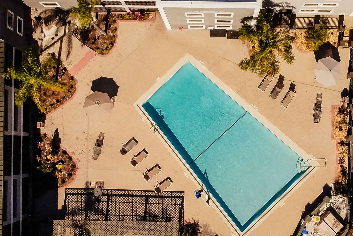 Фото La Quinta Inn by Wyndham Tampa Near Busch Gardens