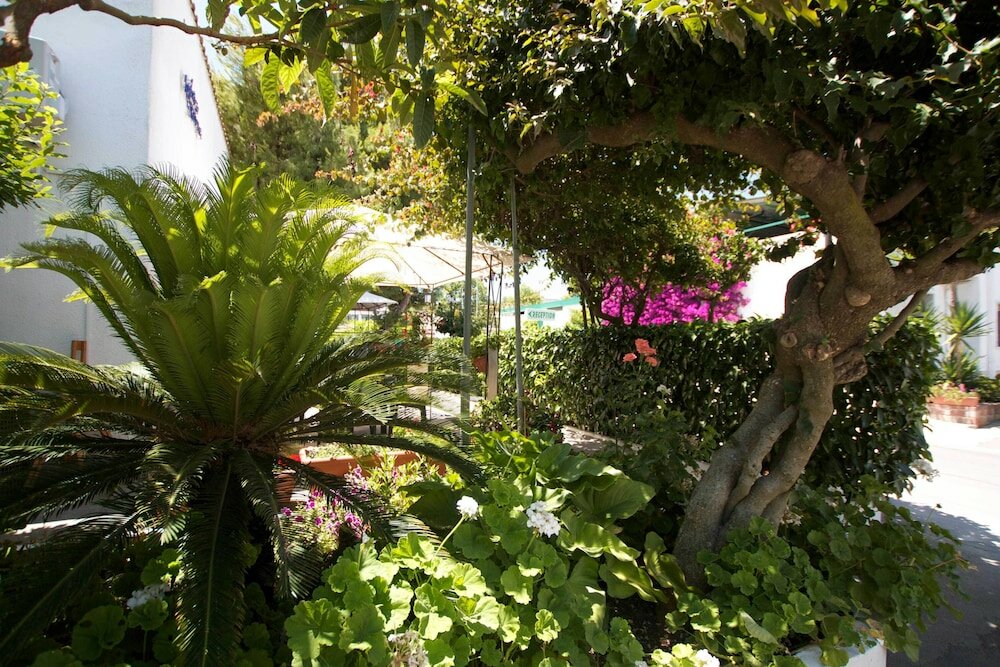 Фото Hotel Residence Nemo