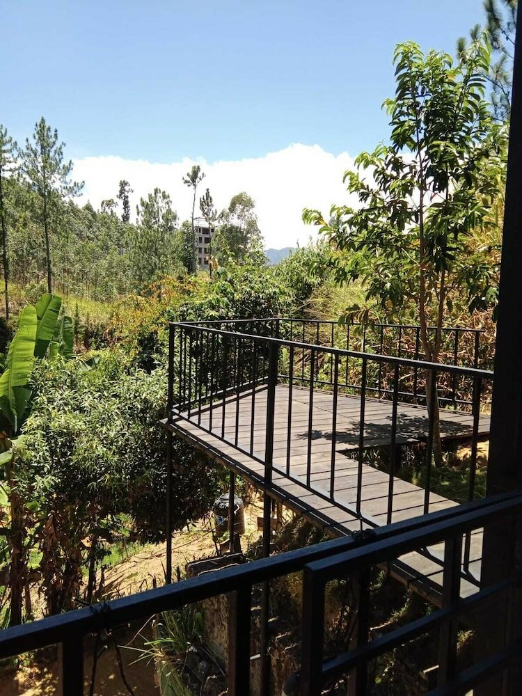 Фото Silver Dome