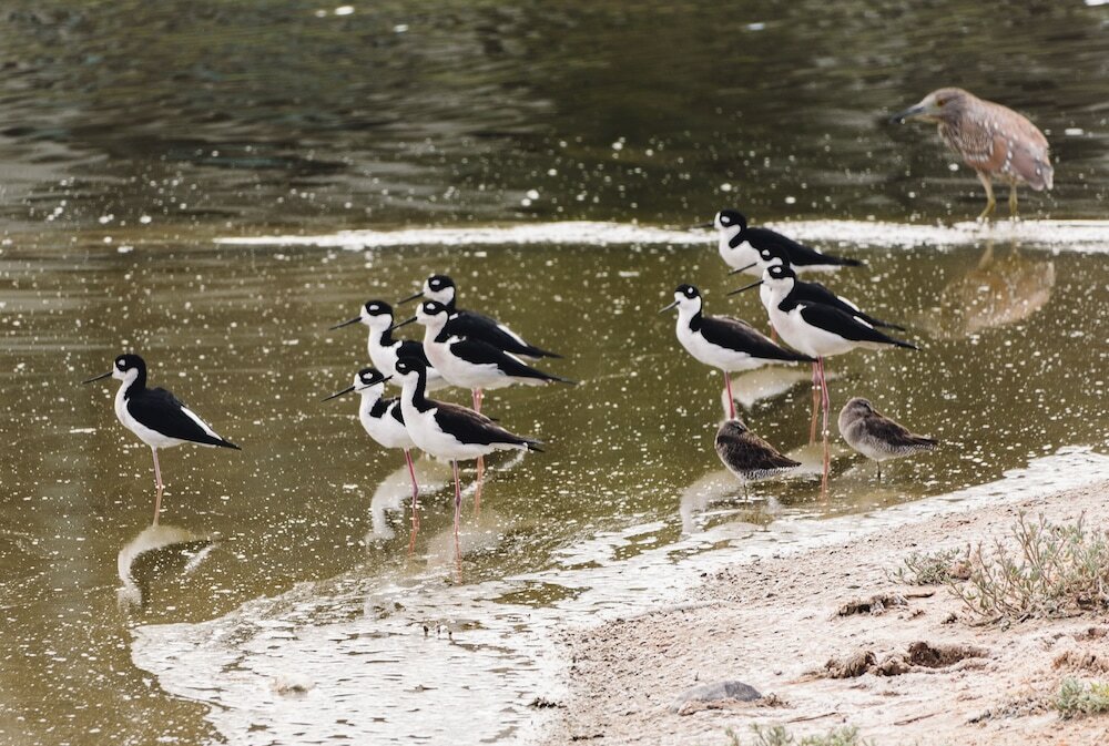 Фото Azul Talavera Country Club