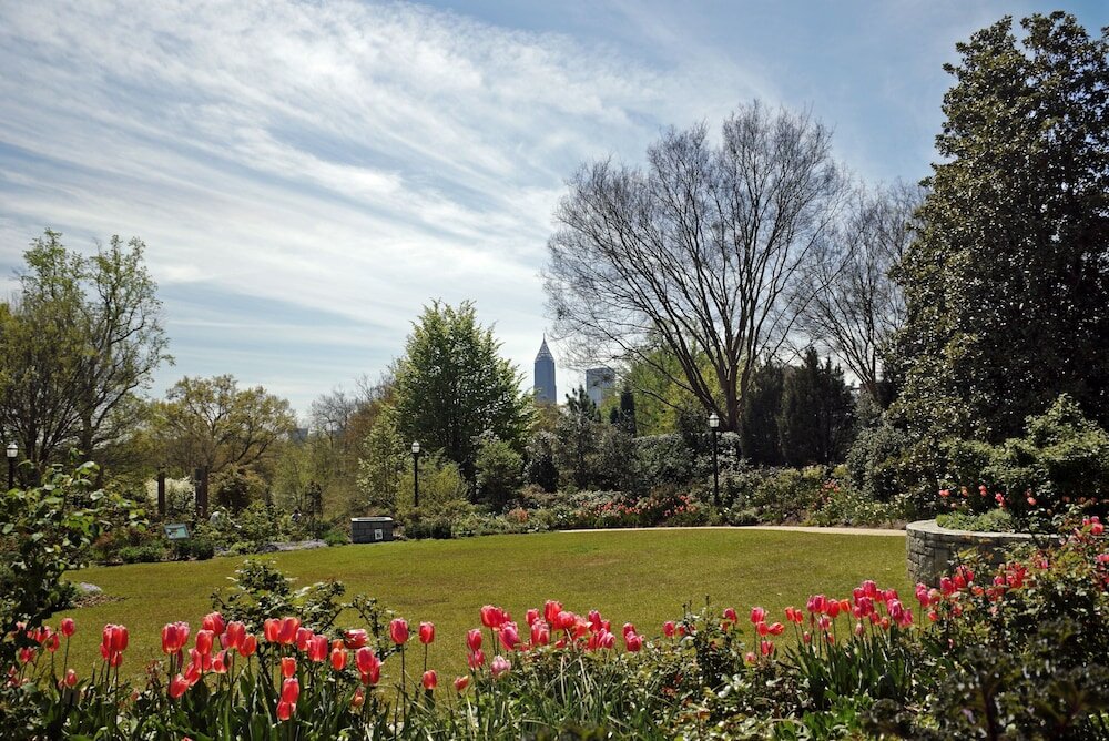 Фото Kimpton Shane Hotel an IHG hotel