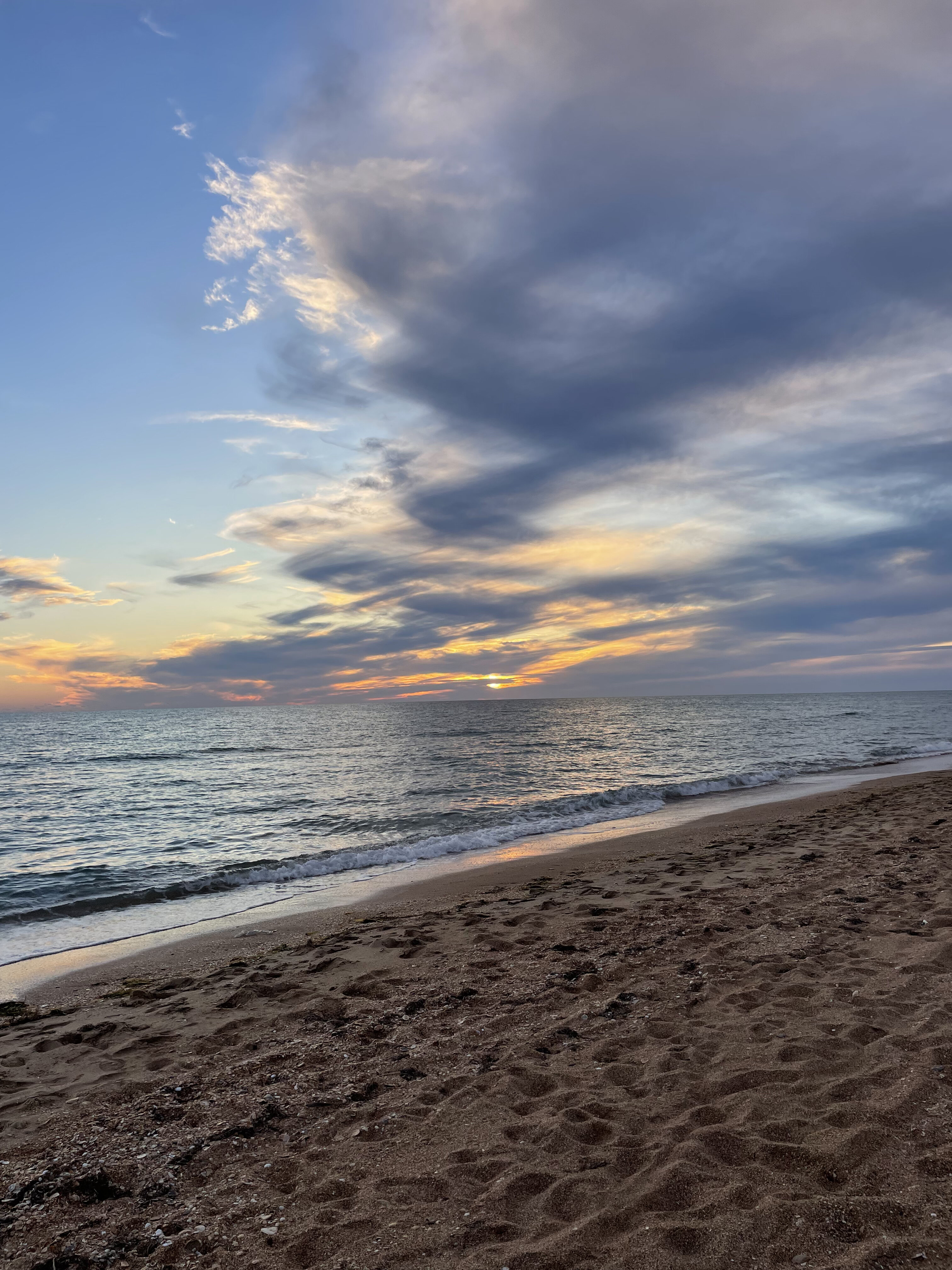 Фото Твоя Дача