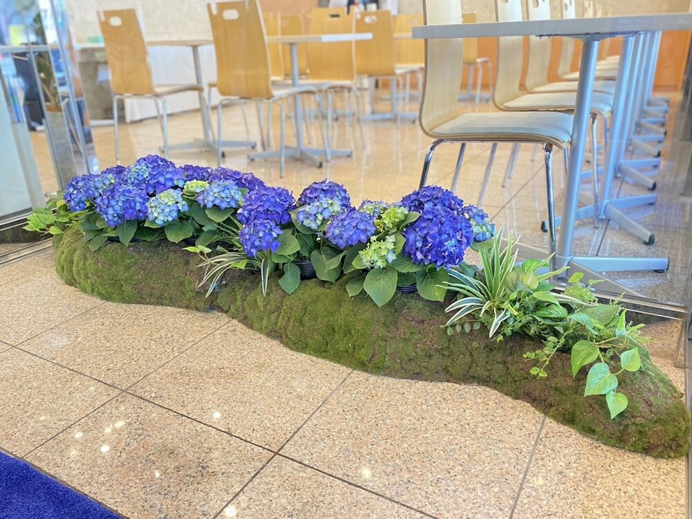 Фото Toyoko Inn Kyoto Gojo-Karasuma