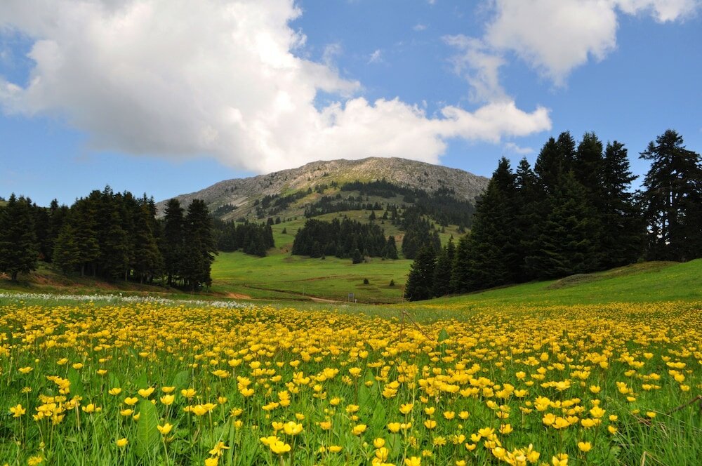 Фото Alexakis Hotel & SPA