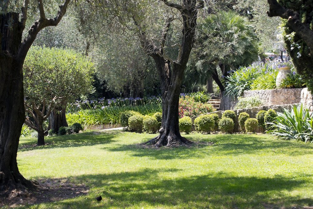 Фото La Bastide Saint Antoine