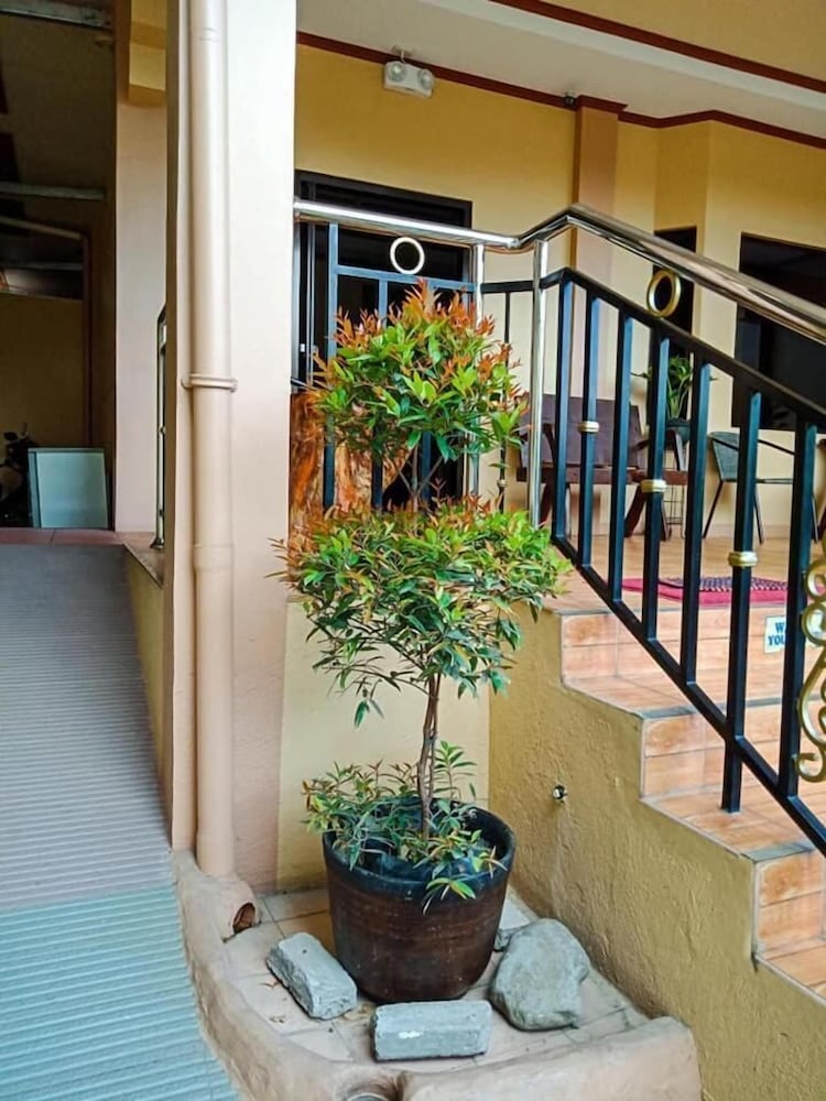 Фото Dayview Tourist Home