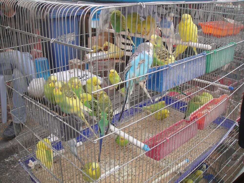 Фото Art Hotel Downtown