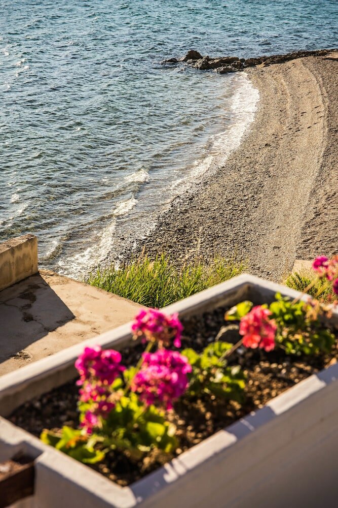 Фото Отель Plaža