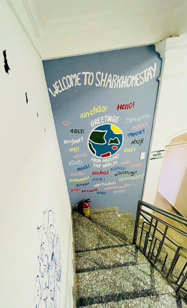 Фото Shark Hotel - Hostel