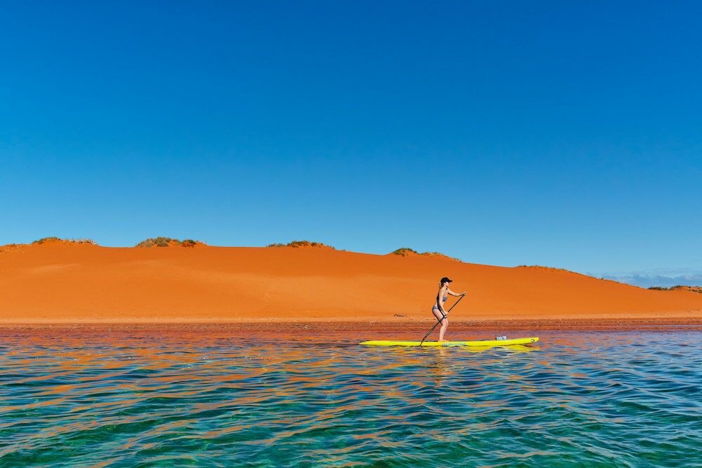 Фото Rac Monkey Mia Dolphin Resort