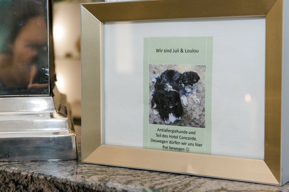 Фото Hotel Concorde