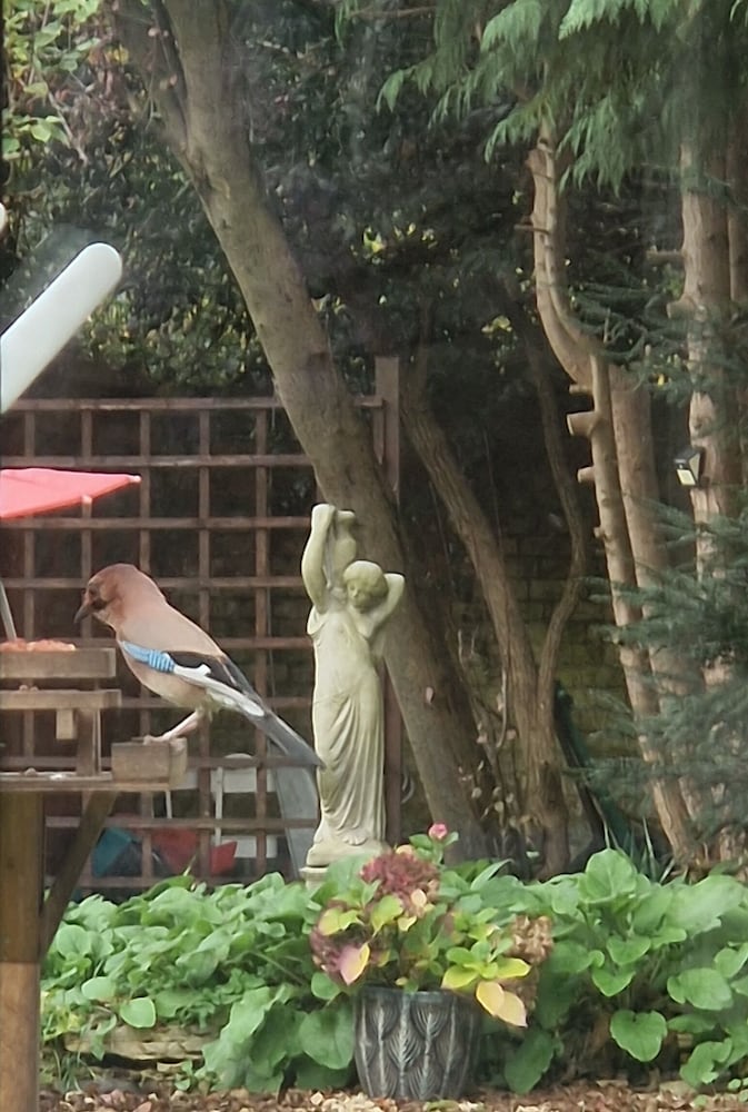 Фото St Margarets Hotel