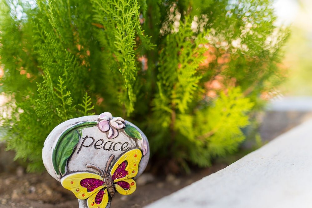 Фото O Casarao Guesthouse