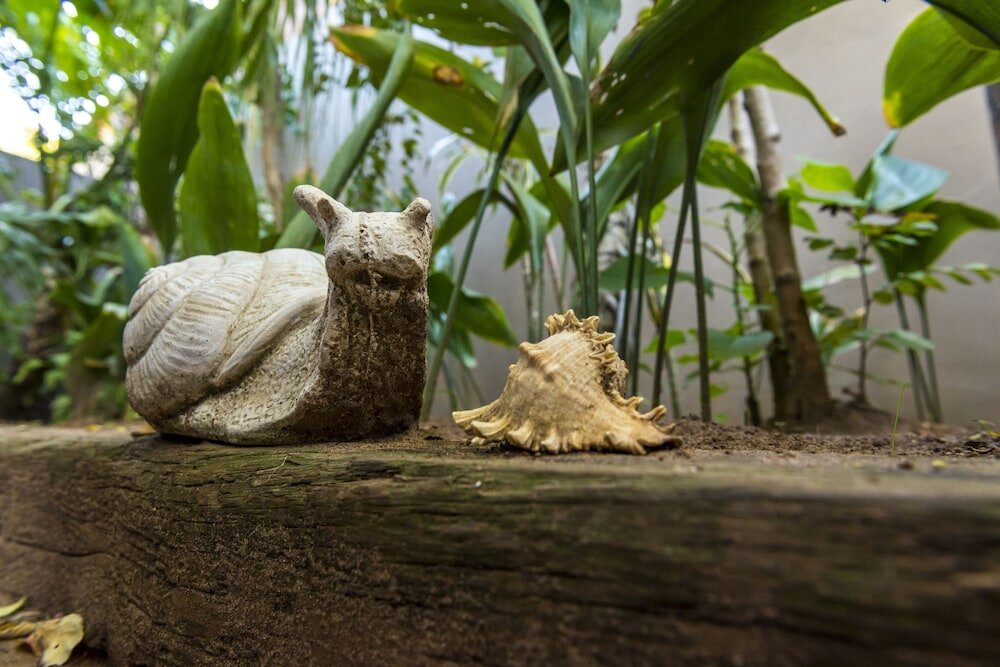 Фото Kingfisher GuestHouse