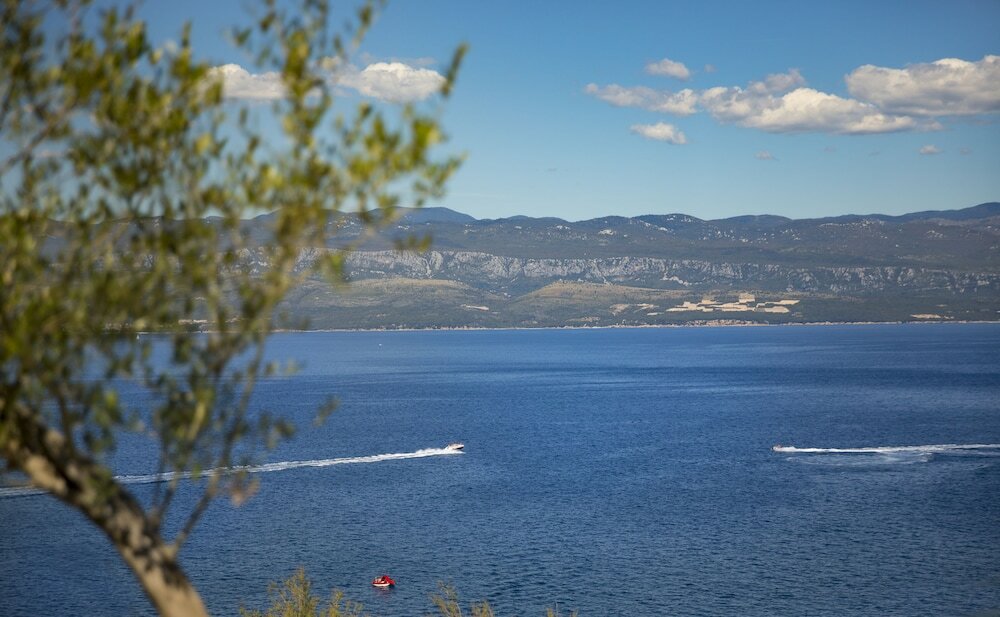 Фото Hotel Vinotel Gospoja