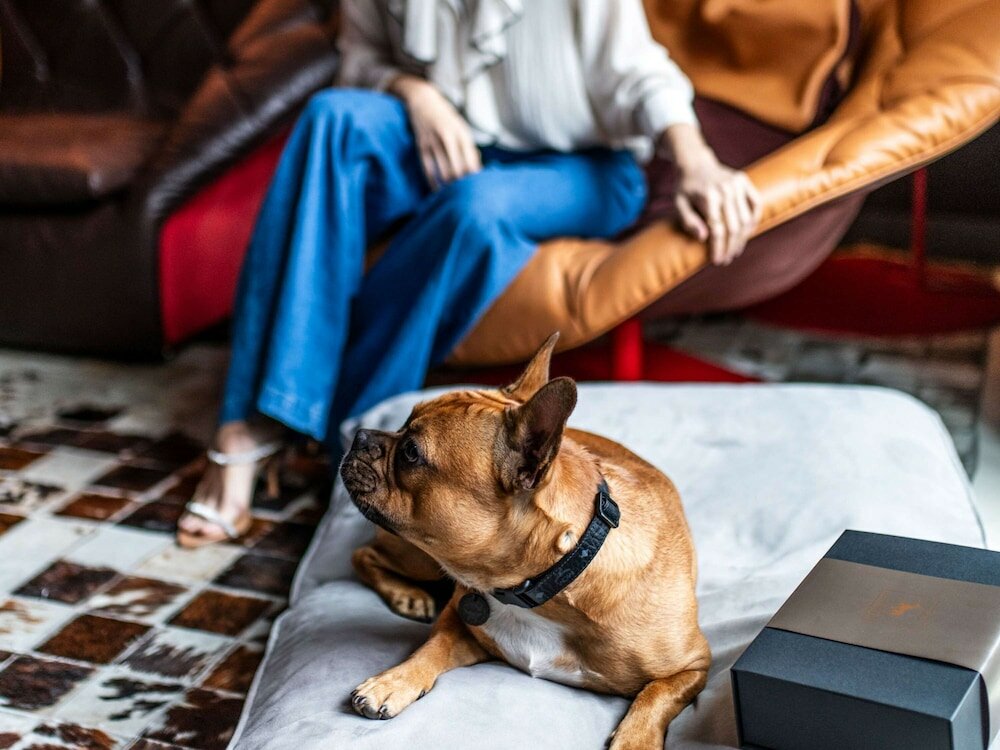 Фото Sofitel Munich Bayerpost