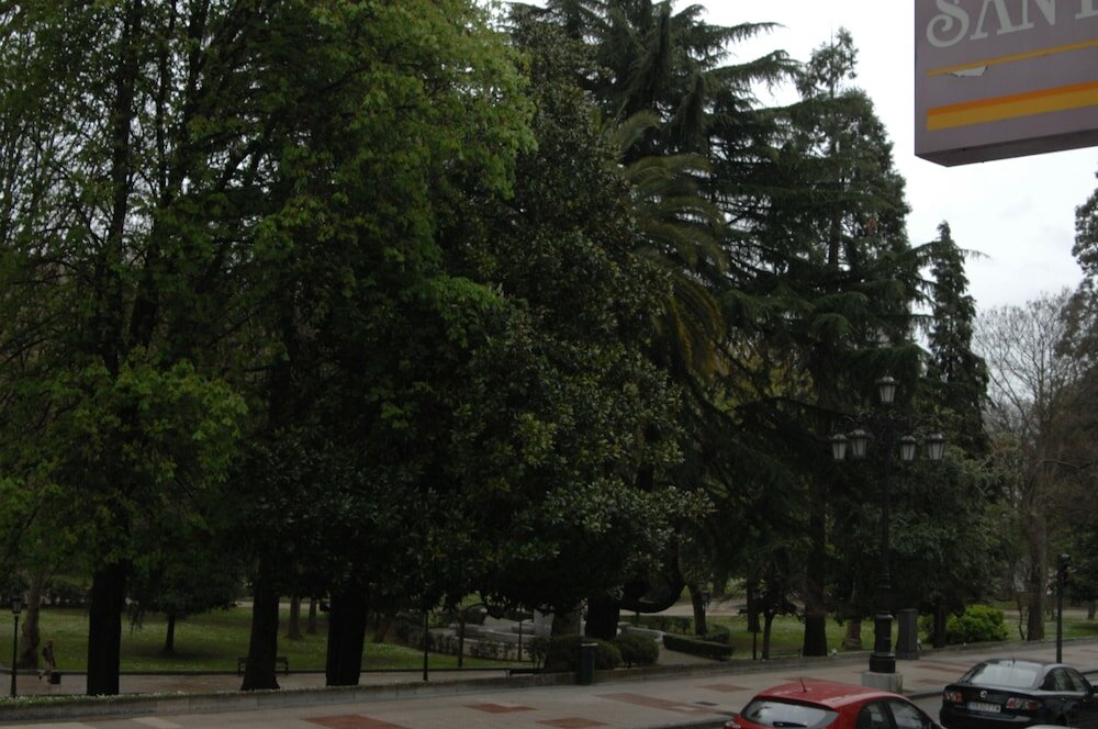 Фото Hotel Santa Cruz