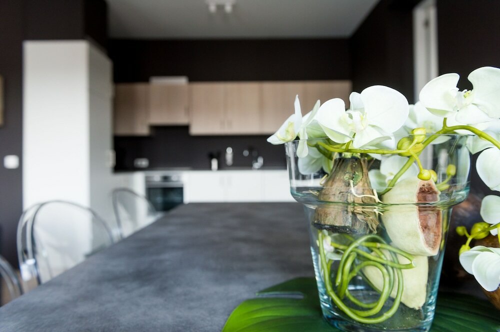 Фото Smartflats Design - Cathédrale