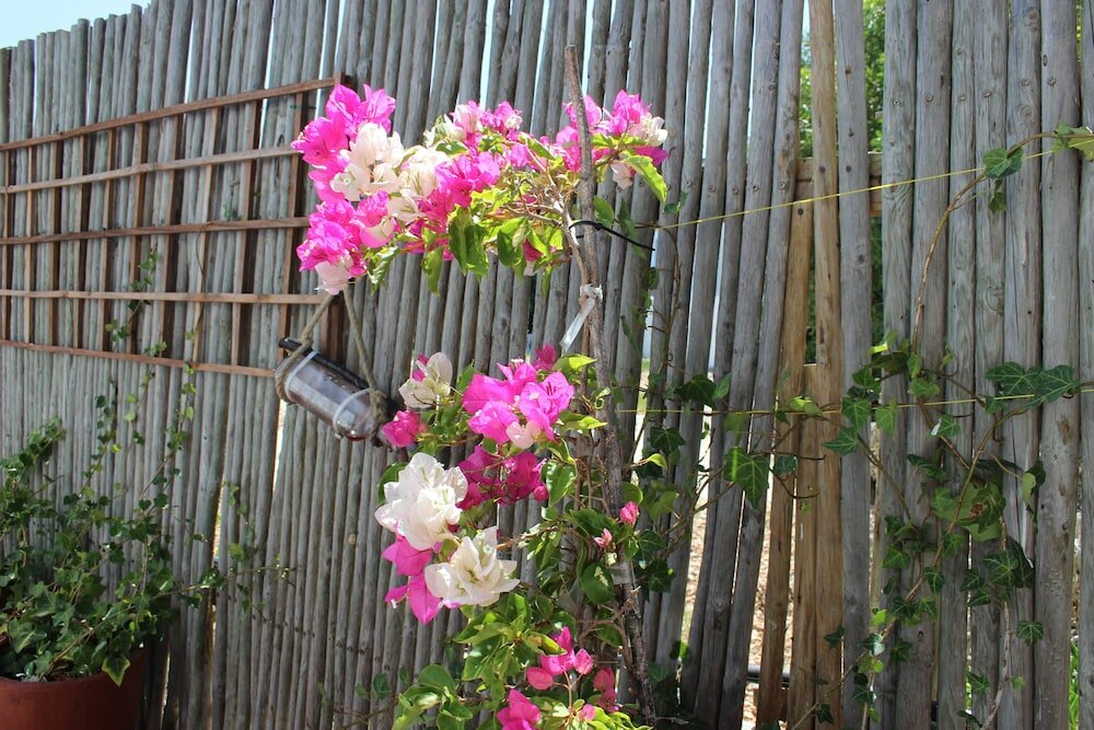 Фото BlueSky Guest House Arniston