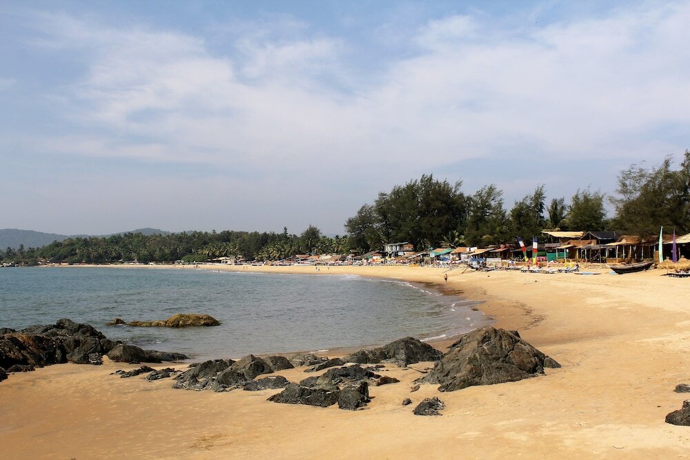 Фото Palm Trees Ayurvedic Heritage