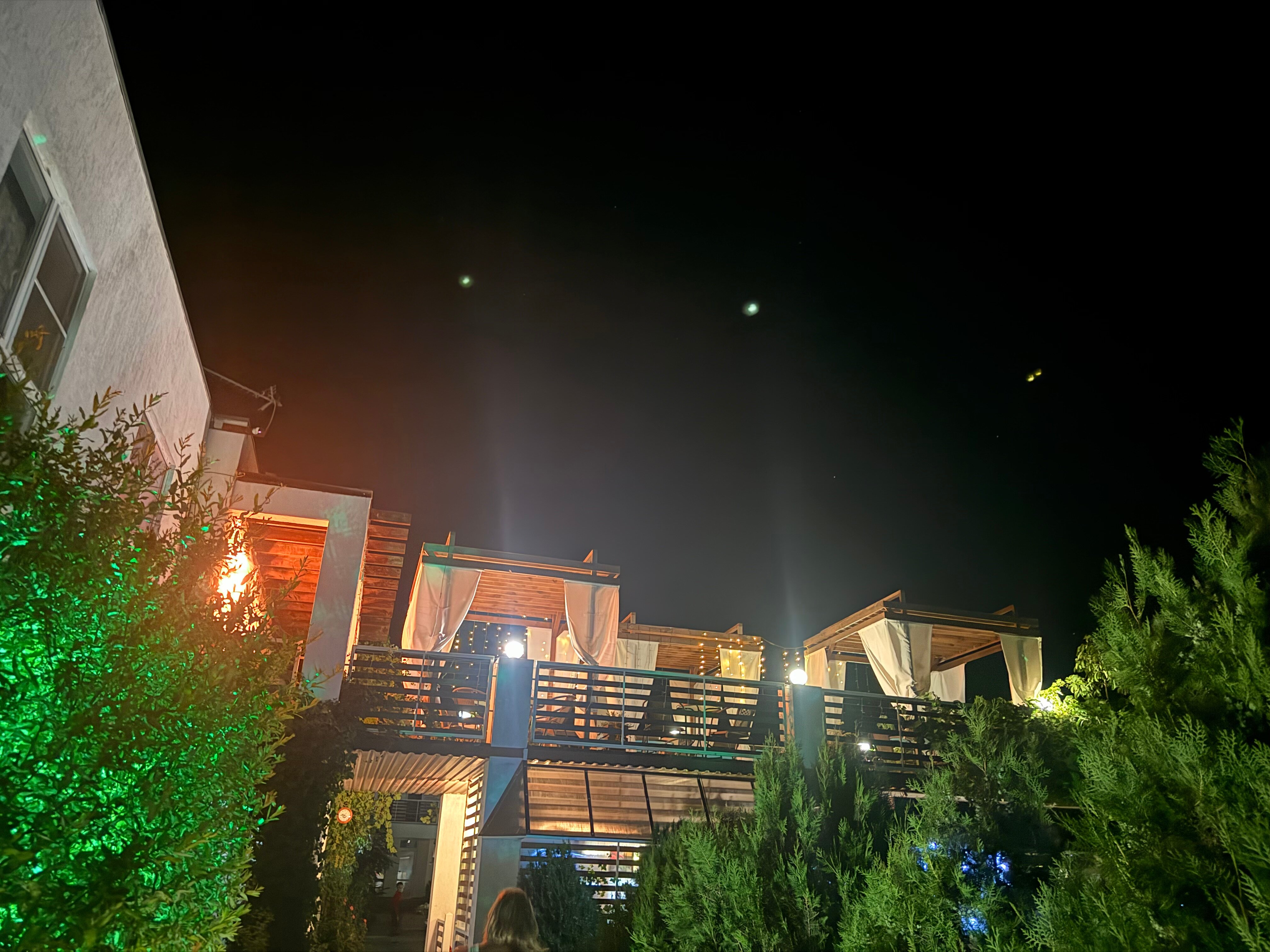 Фото Гранд Камелия