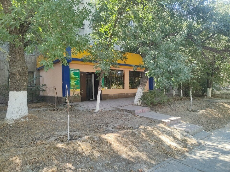 Community organization Bereke, Chimkent, photo