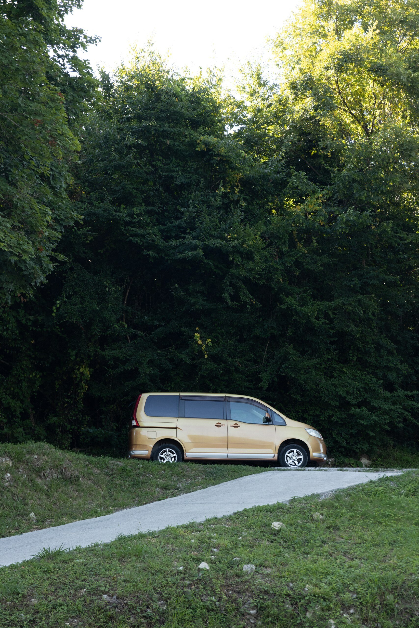 Фото Соболь