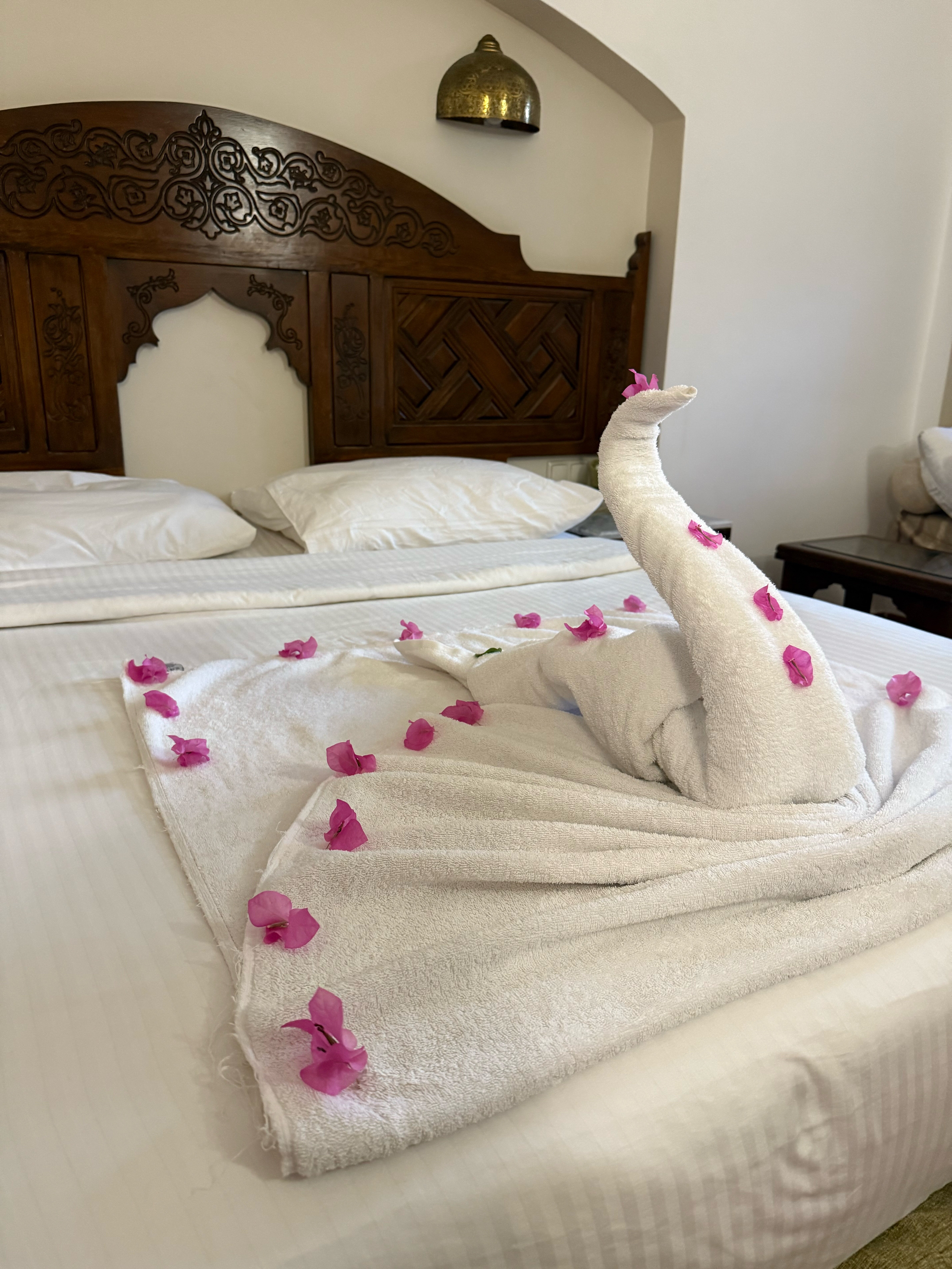 Фото Movenpick Resort Sharm El Sheik 