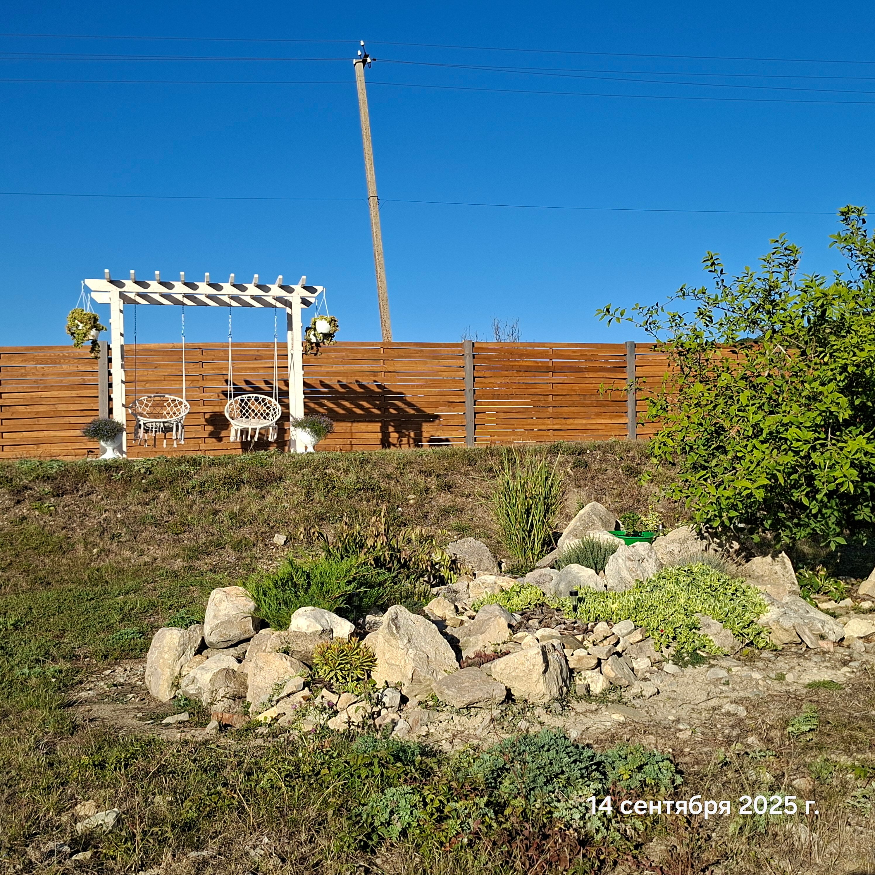 Фото Зарянка