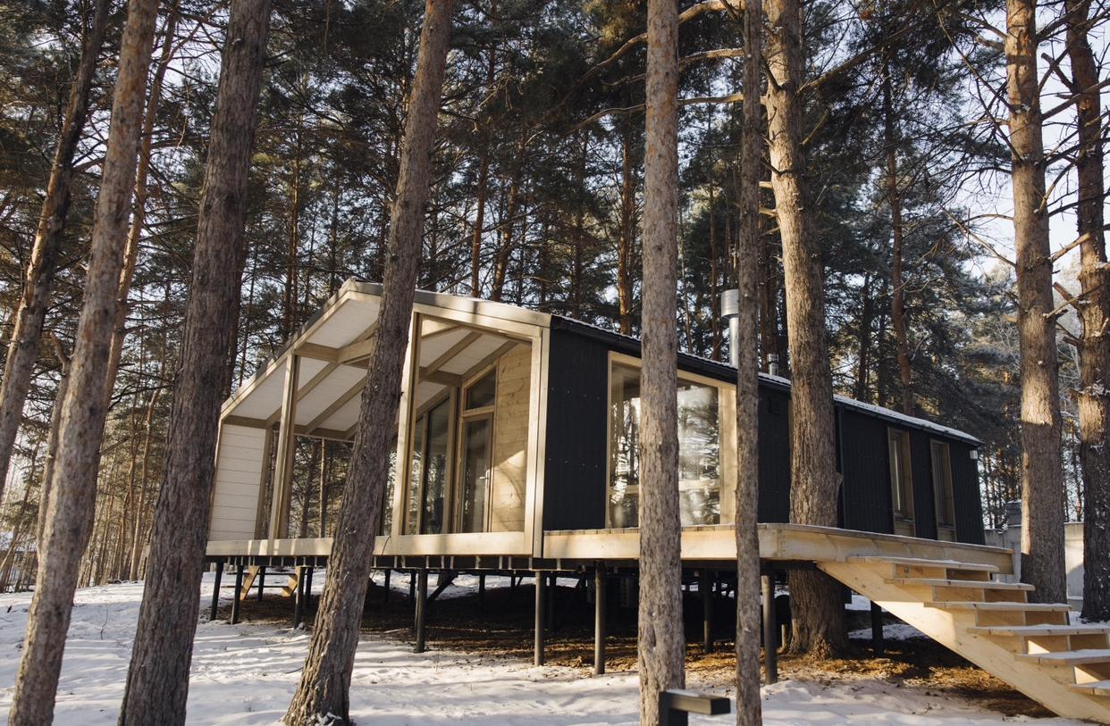 Фото Wood Wood Wood