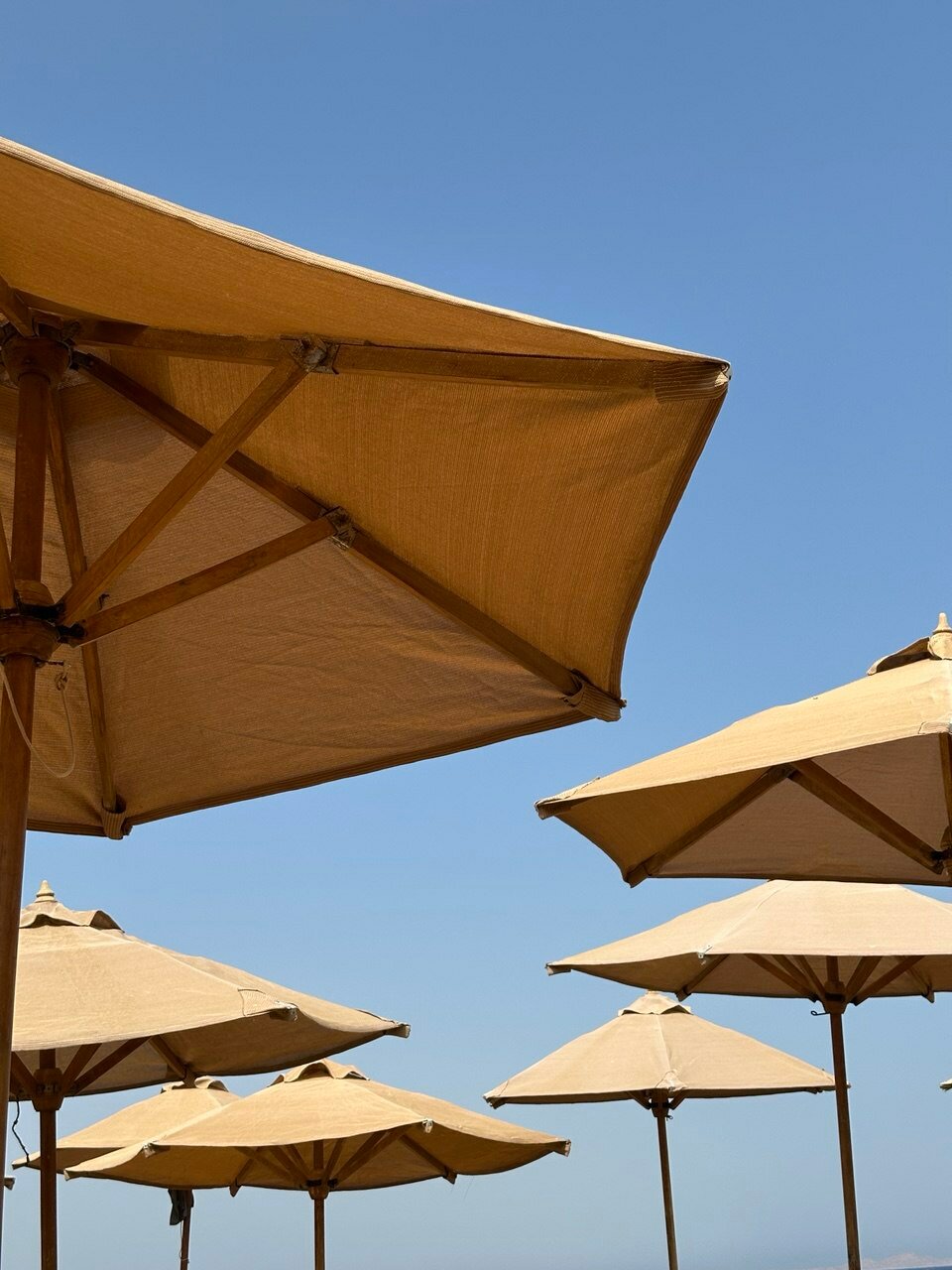 Фото Xperience Sea Breeze Resort