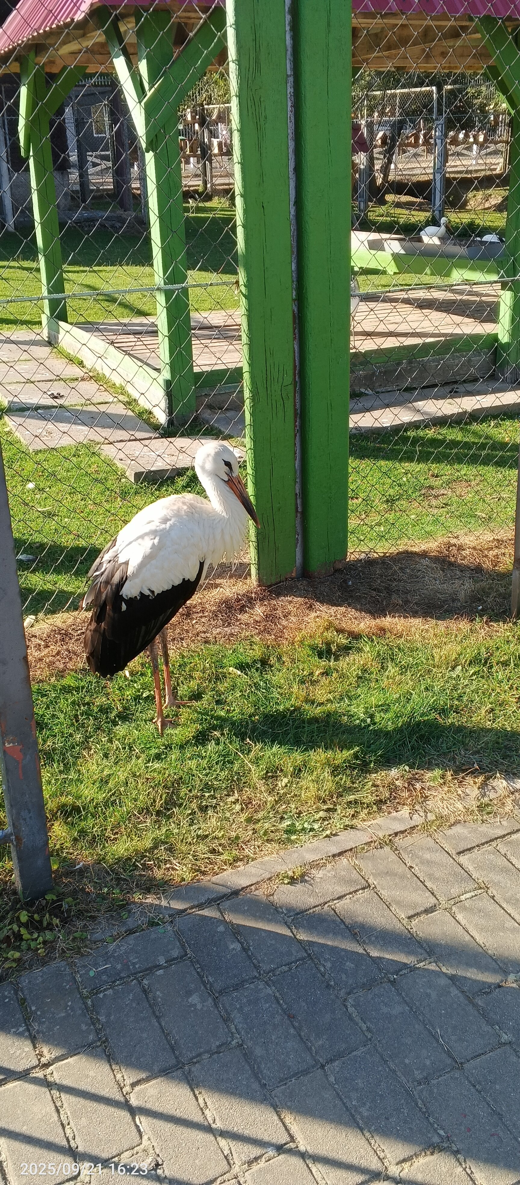 Фото Гостиница Могилёв