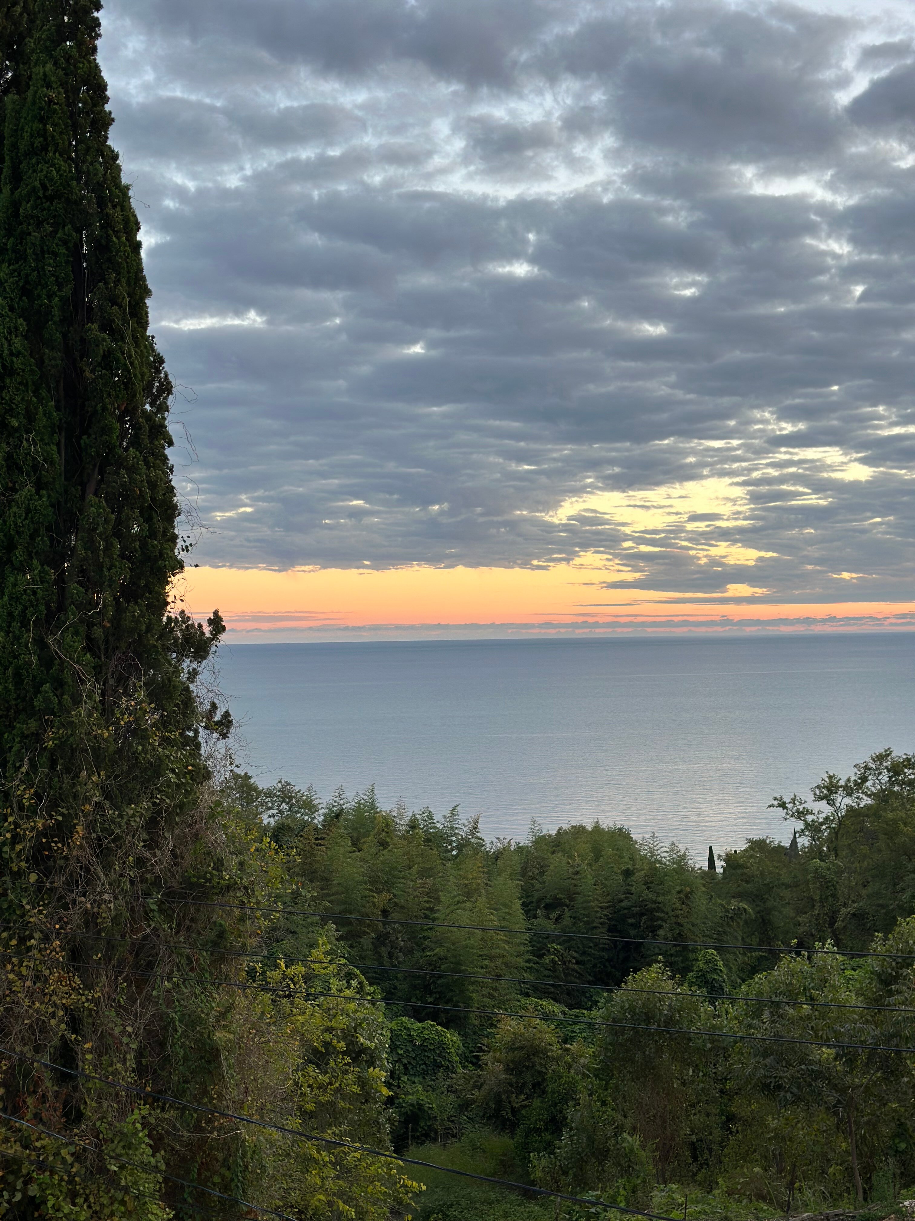 Фото Manon Hotel