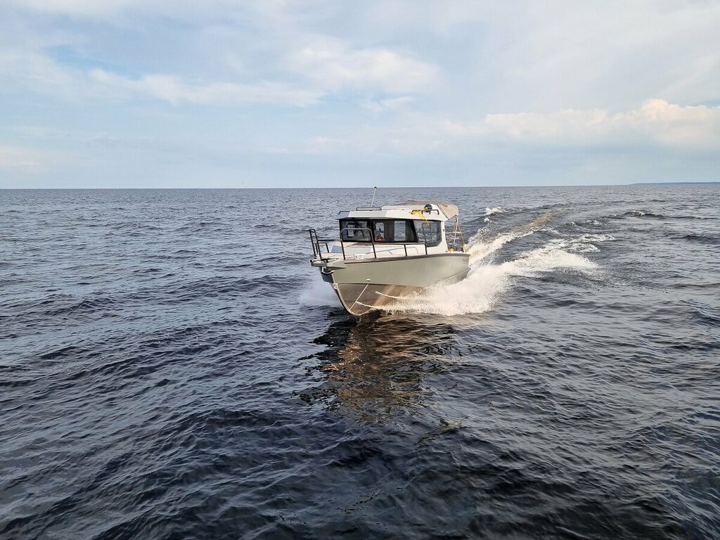 Çevre dernekleri Saint-Petersburg Ecology, Ltd, Saint‑Petersburg, foto