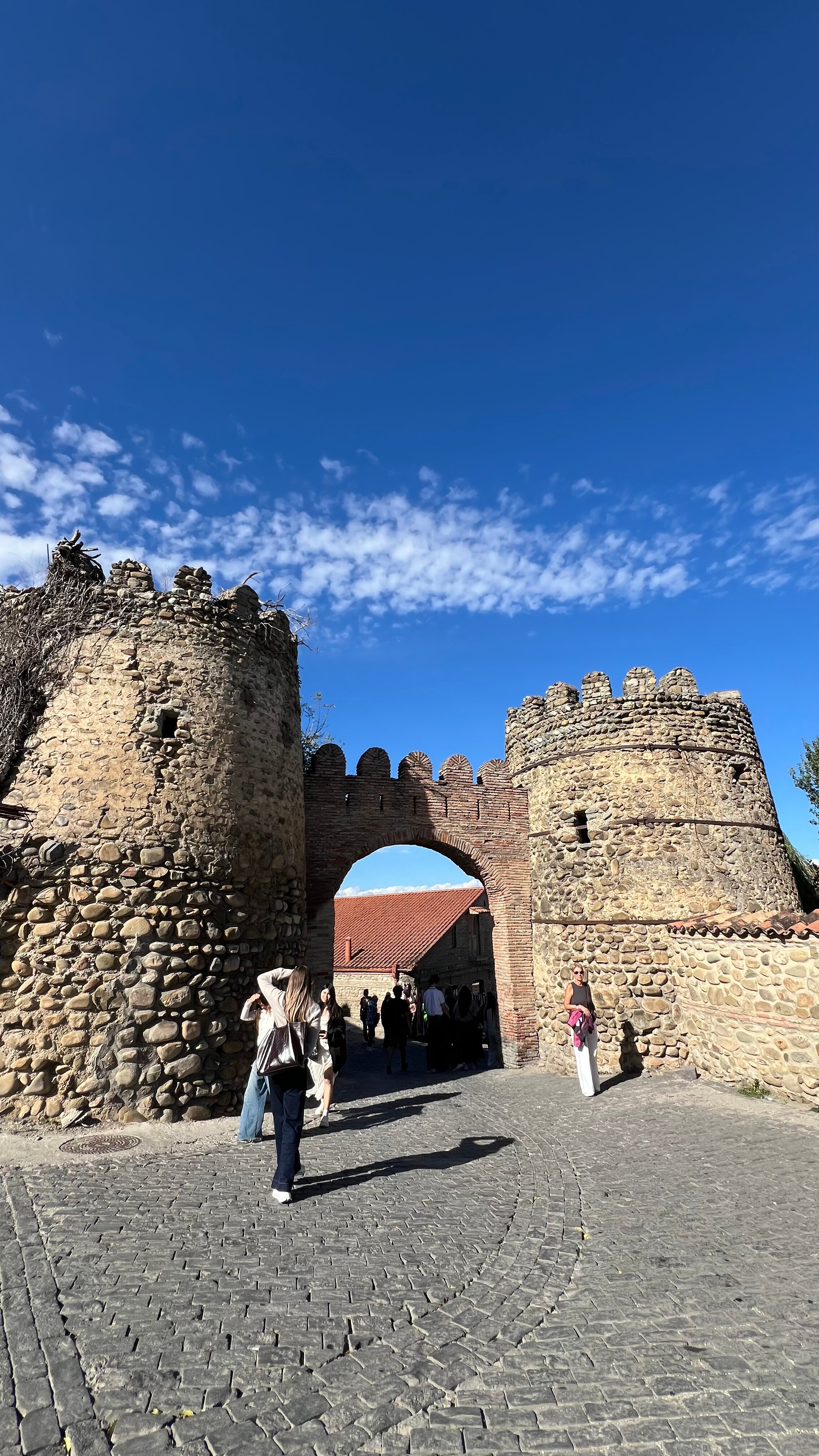 Фото Мини-отель Lelis