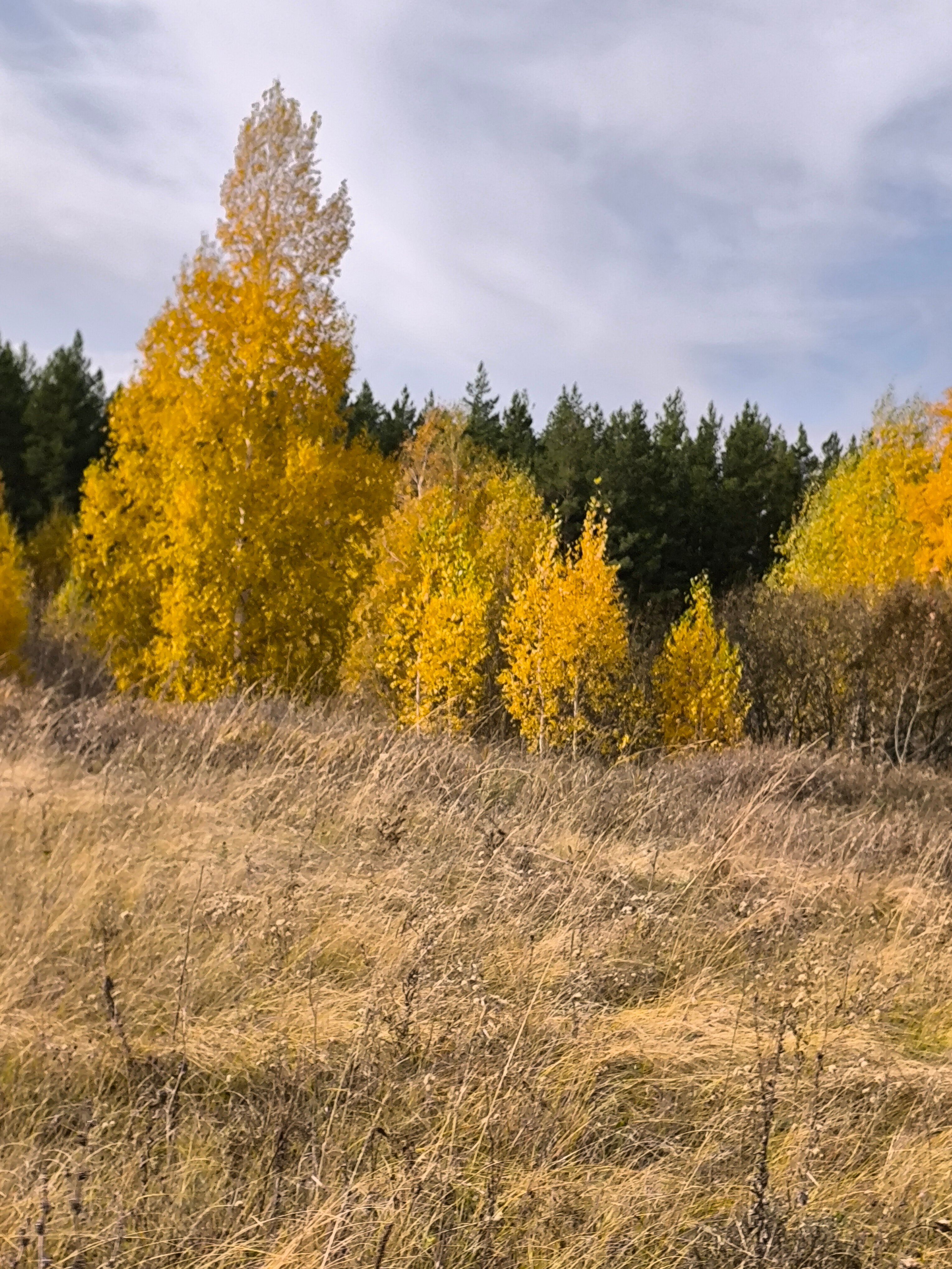 Фото Солнечный Пригорок