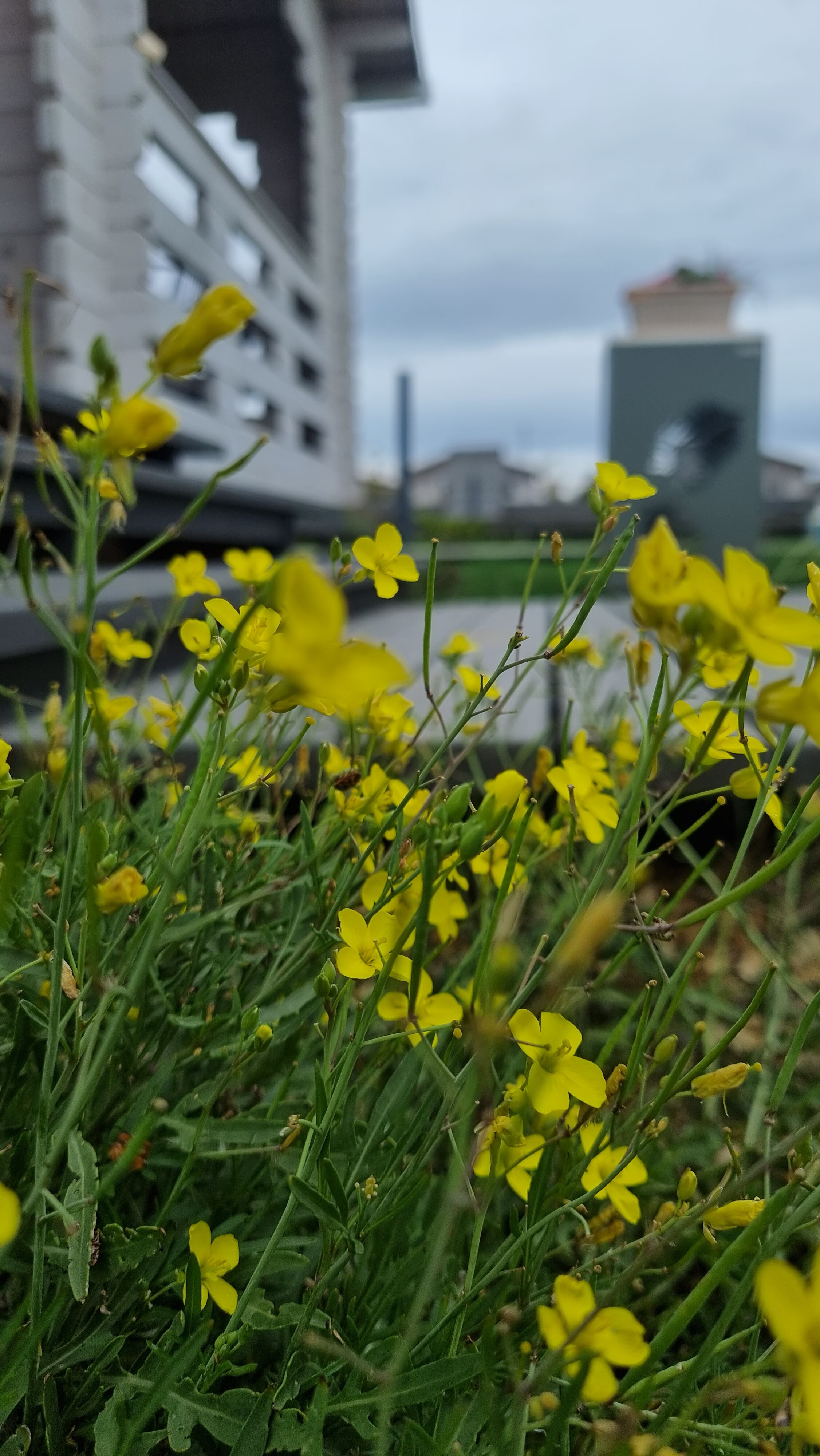 Фото Веселовка Парк